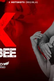Ek Ajnabee – S01E01 – 2023 – Hindi Hot Web Series – HotShots