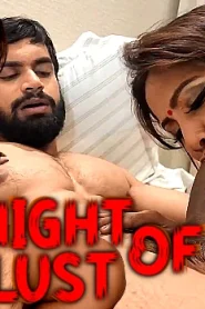 Night of Lust – 2024 – Hindi Uncut Short Film – Hotx